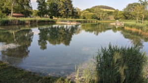 Geolocation von einem Seebild mit Hilfe von Bildersuchmaschinen